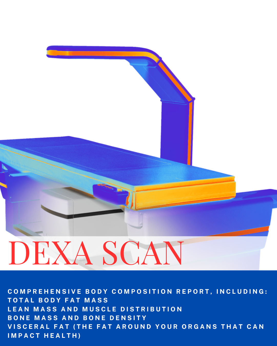 DEXA SCAN